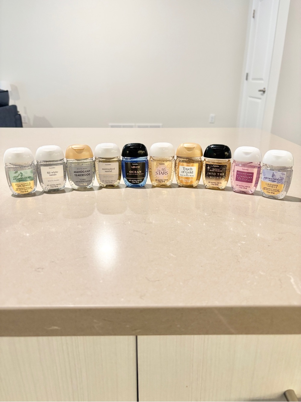 Bath & Body Works PocketBac Bundle Lot | 10 Mixed Hand Gels Gift Set